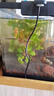 闊庭（KUOTING）魚缸水族箱生態(tài)桌面魚缸新款懶人魚缸生態(tài)造景過濾制氧一體機(jī)黑色 曬單實(shí)拍圖