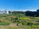 山谷微風(fēng) 余華2024最新散文集 收錄一直游到海水變藍等12篇新作 游目騁懷 像山上的風(fēng)一樣自由 我在島嶼讀書(shū)節目推薦 曬單實(shí)拍圖