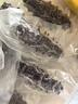 官參堂 大連即食海參 1斤 7-10只 冷凍遼刺參海鮮簡(jiǎn)裝 固形物85%以上  曬單實(shí)拍圖