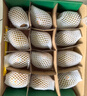 佳沛（zespri）新西蘭 陽光金奇異果12粒禮盒特大果單果約122-146g 獼猴桃 水果 曬單實(shí)拍圖