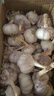 康田匯 陜西2025干新鮮感大蒜現(xiàn)挖新蒜紫皮大蒜批發(fā)鮮蒜紅皮蒜干蒜 5斤單果4CMM-5CMM 自有農(nóng)場 曬單實拍圖