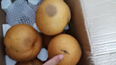 柏饞山東秋月梨新鮮梨子當季水果脆甜山東特產(chǎn)生鮮冰糖梨應季整箱 9斤裝 凈重8.5斤 曬單實(shí)拍圖
