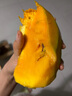 京鮮生 攀枝花凱特芒果 凈重3斤 帶箱3.5斤 單果400g+ 生鮮水果源頭直發(fā) 曬單實(shí)拍圖