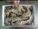 GUO LIAN國聯(lián)生鮮鹽凍大蝦 去冰凈重3斤 73-90只 盒裝活凍 海鮮海產(chǎn)冷凍蝦 曬單實(shí)拍圖