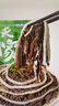 潮夫道冷藏黑千層2斤裝川渝火鍋食材麻辣燙牛毛肚牛百葉生鮮固體物60% 曬單實(shí)拍圖
