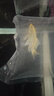 臺(tái)灣純種普身蝴蝶鯉觀(guān)賞魚(yú)冷水魚(yú)大鰭大尾冷水魚(yú)好養(yǎng)耐活包郵包活 貴妃黃色5-8公分1條 曬單實(shí)拍圖