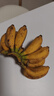 京喜自營(yíng) 廣西網(wǎng)紅小米蕉 青香蕉發(fā)貨放熟吃 新鮮水果一件包郵 青蕉發(fā)貨 凈重9斤 曬單實(shí)拍圖