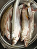 川澤無(wú)結加長(cháng)子線(xiàn)雙鉤成品綁好有刺金海夕魚(yú)鉤草魚(yú)翹嘴鰱鳙專(zhuān)用千又鉤 金海夕有刺12#線(xiàn)號2.5#2米 【無(wú)結拉力更強】6付裝 曬單實(shí)拍圖