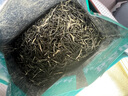 五云村2025新茶葉信陽毛尖500g綠茶雨前特級嫩芽2罐共1斤自己喝帶禮袋盒 曬單實拍圖