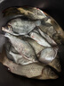 達億瓦（DAIWA）  新款 一擊魚(yú)線(xiàn) 尼龍線(xiàn) 高強度釣魚(yú)線(xiàn) 日本原絲釣線(xiàn) 尼龍魚(yú)線(xiàn) 子線(xiàn)（50M)【透明色】 1.5號 曬單實(shí)拍圖