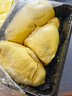 金枕頭榴蓮肉新鮮冷凍榴蓮果肉帶核樹(shù)熟進(jìn)口生鮮水果順豐包郵 精品金枕榴蓮果肉800g/盒*2 曬單實(shí)拍圖