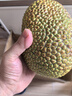 京鮮生海南榴蓮蜜 4-5斤裝 1-2個 凈重4斤 生鮮水果 源頭直發(fā) 曬單實拍圖
