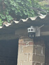 奧克斯4g太陽能攝像頭室外無電無網(wǎng)終身免費(fèi)流量免插電手機(jī)遠(yuǎn)程高清監(jiān)控器家用戶外360度無死角全景夜視 曬單實(shí)拍圖