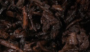 大益TAETEA茶葉普洱茶熟茶天地人和餅茶357g/餅 2201批次 品質(zhì)口糧茶 曬單實(shí)拍圖