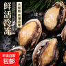 新鮮鮑魚(yú)超大海鮮水產(chǎn)冷凍特大干小鮑魚(yú)撈汁飯批發(fā)商用帶殼 新鮮鮑魚(yú)400g(22-26只左右) 曬單實(shí)拍圖
