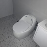 JMUTWMO家用抽水馬桶新款側(cè)按坐便器衛(wèi)生間創(chuàng)意蛋形防凍虹吸式個性座便器 亮光白色 400mm 曬單實拍圖
