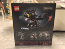 樂高（LEGO）積木 Icons 10375馴龍高手沒牙仔 無牙仔生日禮物【D2C限定款】 曬單實拍圖