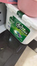 滴露（Dettol）洗衣凝珠四合一雨后青草12g*50顆4腔洗衣液凝珠洗衣珠衣物消毒液 曬單實(shí)拍圖