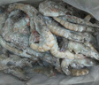 北海灣 蝦 青島大蝦鮮活冷凍基圍蝦 蝦類(lèi) 海鮮水產(chǎn)生鮮白蝦青蝦海蝦對蝦 鹽凍大蝦 3.6斤(凈重)  15-17cm【單只凍 無(wú)冰衣】 曬單實(shí)拍圖