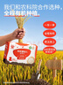 秋田滿滿有機(jī)嬰幼兒胚芽米360g*3盒裝 寶寶嬰標(biāo)輔食米獨(dú)立小包裝大米粥 曬單實拍圖