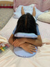 全品屋午睡枕小學(xué)生午休枕頭兒童午睡神器教室辦公室睡覺(jué)趴睡枕靠枕護頸 藍色【10檔調節+冰絲布套】 曬單實(shí)拍圖
