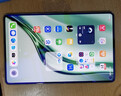 華為（HUAWEI）MatePad Mini 小平板2025新款平板電腦鴻蒙5操作系統(tǒng)8.8英寸OLED高清120Hz高刷屏AI繪畫(huà)游戲辦公 云杉綠 12+512 云晰柔光版 全網(wǎng)通 官方標(biāo)配+曬單有 曬單實(shí)拍圖