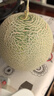 京鮮生網(wǎng)紋蜜瓜 網(wǎng)紋瓜1粒 凈重1.5-2斤 生鮮水果 源頭直發(fā)包郵 曬單實(shí)拍圖
