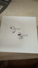 Apple/蘋果 AirPods Pro (第二代) 搭配MagSafe充電盒 (USB-C) 蘋果耳機(jī) 藍(lán)牙耳機(jī) 適用iPhone/iPad/Mac 曬單實拍圖