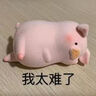 DITOK不銹鋼車載煙灰缸防飛灰?guī)w大容量車用汽車車內(nèi)高端大氣上檔次 純色-磨砂款 曬單實(shí)拍圖