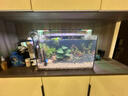 森森（SUNSUN）魚(yú)缸過(guò)濾器制氧過(guò)濾一體機凈水循環(huán)三合一循環(huán)水泵壁掛魚(yú)馬桶 【升級?mèng)~(yú)便收集】8W壁掛+濾材套餐+硝化菌 曬單實(shí)拍圖