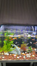 吉印刀鋒s魚缸燈led燈防水全光譜魚缸照明燈水草燈小型超白魚燈46cm 曬單實拍圖