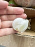 大蒜精裝出口蒜出蔬菜水果調料牛肉生蠔小龍蝦食材 出口標準網(wǎng)兜裝袋5頭 110g 中果直徑4cm 曬單實(shí)拍圖