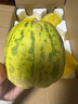 綠相憶山東八里香甜瓜應(yīng)季水果香瓜甜瓜現(xiàn)摘脆甜多汁新鮮水果整箱 凈重4.5斤大果【單果260g+】 曬單實(shí)拍圖
