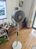東芝（TOSHIBA）【花信風(fēng)SE】電風(fēng)扇空氣循環(huán)扇0耗材除醛直流變頻電風(fēng)扇靜音臥室超靜音一級能效F-DSC650CN(W) 曬單實(shí)拍圖