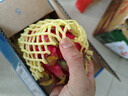 【特價(jià)大果】正宗廣西紅心火龍果金都一號(hào)新鮮采摘現(xiàn)摘現(xiàn)發(fā) 特價(jià)熱賣 帶箱5斤 （單果300g+） 曬單實(shí)拍圖