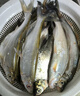 川澤泡泡球餌料黑坑競技老滑魚(yú)浮水顆粒草魚(yú)散炮鯉魚(yú)鰱鳙釣魚(yú)窩料搓餌 【黑坑滑魚(yú)】泡泡球餌料1000g 戰魁黑坑偷驢克星 曬單實(shí)拍圖