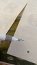 得力（deli）24色兒童學(xué)生圓桿丙烯馬克筆桶裝水彩筆生日禮物防水手繪咕卡熒光記號筆涂鴉HM353學(xué)生開學(xué)禮物 曬單實(shí)拍圖