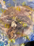 傾海之宴 精選墨魚干 S3 200g 淡曬目魚干烏賊干 海鮮特產(chǎn)海產(chǎn)品干貨 曬單實拍圖