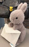 JELLYCAT信兔趣味信封小兔子信使兔子玩偶可愛(ài)治愈毛絨玩具柔軟節日禮物 信兔 【需要賀卡聯(lián)系客服】 曬單實(shí)拍圖