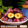庾豐當季新鮮現摘脆紅李 新鮮水果整箱 孕婦脫骨青紅李子 團購送禮 5斤裝（凈果4.5斤）甄選果 顆顆甄選 產(chǎn)地直發(fā) 曬單實(shí)拍圖
