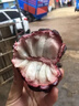 優(yōu)味集【順豐/JD】玫瑰釋迦果水果大目番荔枝當(dāng)季新鮮牛奶鳳梨釋迦整箱 2斤裝（老樹優(yōu)果）凈1.5斤 商超A+級果 曬單實(shí)拍圖