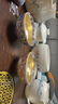 蘇氏陶瓷（SUSHI CERAMICS）鎏銀纏枝蓮對杯情侶茶杯非遺大師鄭文強作品品茗杯J1075 曬單實拍圖