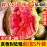 粵迎紅心軟糯芭樂果園新鮮現(xiàn)摘【產(chǎn)地直發(fā)】番石榴應季廣西低糖水果 5斤甄選果【香甜好吃】凈4.5斤 曬單實拍圖