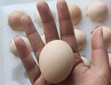 黃天鵝可生食雞蛋 30枚/3.18斤禮盒裝 生鮮雞蛋京東自營 無抗生素 曬單實(shí)拍圖
