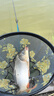 西部風(fēng)（Xibu feng）甜薯原漿老壇發(fā)酵雜糧野釣甜香味魚餌料300克 曬單實拍圖