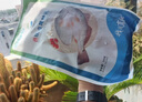仙泉湖三去白蕉海鱸魚(yú) 400g/條凈膛冷凍刺少肉厚特產(chǎn)食材生鮮水產(chǎn) 曬單實(shí)拍圖