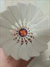 亞獅龍（RSL）訓(xùn)練比賽用球 飛行穩(wěn)定耐打 RSL66號(hào) 羽毛球（1桶裝） 曬單實(shí)拍圖