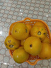 良知農(nóng)哥【順豐】?jī)?nèi)蒙古五原新鮮黃柿子 黃色西紅柿番茄 健康輕食鐵皮柿子 7斤大號(hào) 曬單實(shí)拍圖