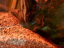 米家智能桌面魚(yú)缸小米生態(tài)魚(yú)缸小型智能專(zhuān)業(yè)背濾一體缸自循環(huán) 曬單實(shí)拍圖
