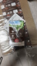 維他奶巧克力味植物蛋白飲料250ml*24盒 早餐豆奶飲料 家庭分享裝 曬單實拍圖